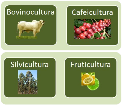 Centros de Custo em operação na propriedade.